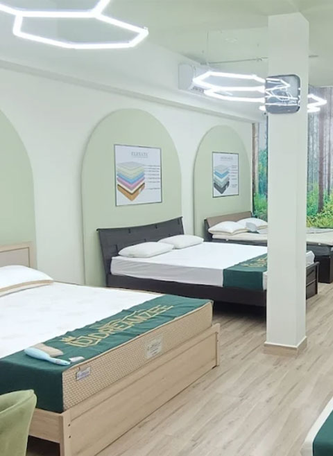 Dreamzee Natural latex Chennai Showroom