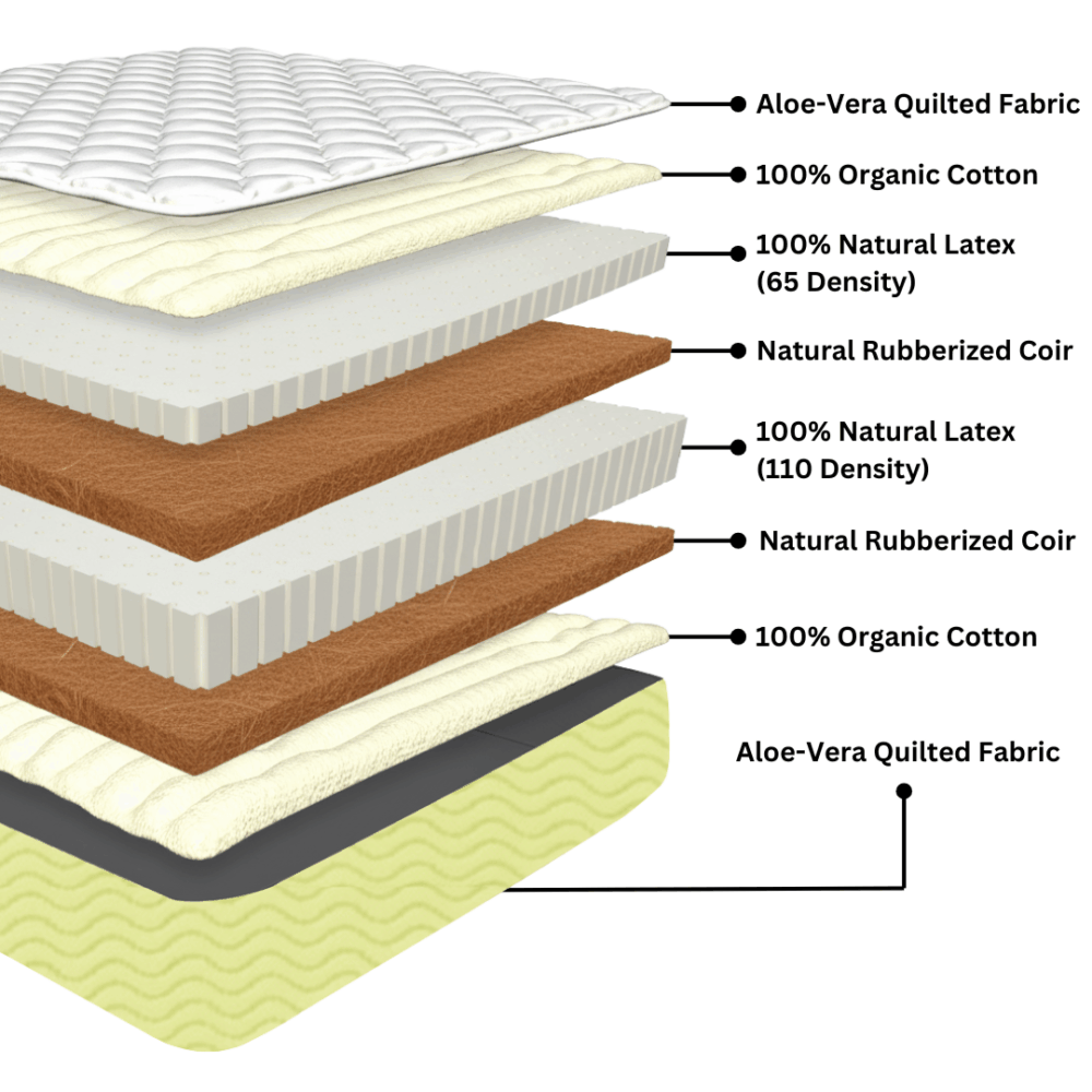 Intersection Latex with coir mattress