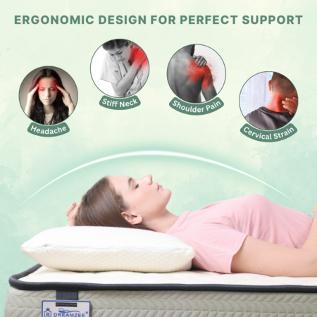 supports by latex shredded pillow