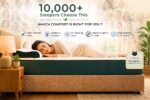 10000 plus seller choose dreamzee latex mattress